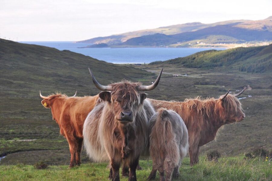 Private Outlander Tour for Small Groups - Key Things That Make This Outlander Tour Worth Your Time