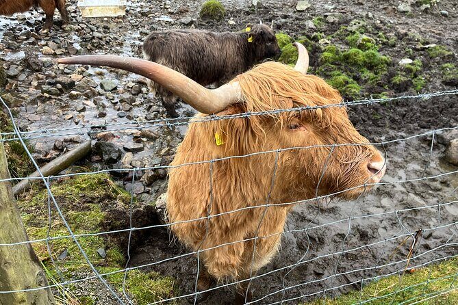 Private Scottish Highlands and Loch Ness Tour from Edinburgh - Glencoe: the volcanic drama and the Clan MacDonald story stop