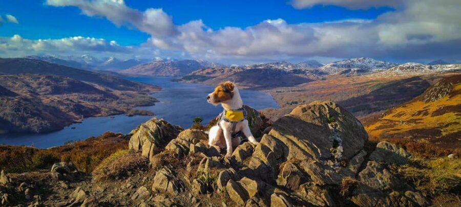 Private Tour of Highlands, Lochs & Castles from Edinburgh - Scenic drives with built-in pauses: Rest and be Thankful and Loch views