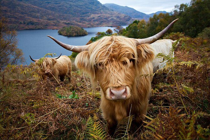Private Tour of Loch Ness, Glencoe and Highlands from Edinburgh - Dalwhinnie and the Commando Monument: variety before the big lochs