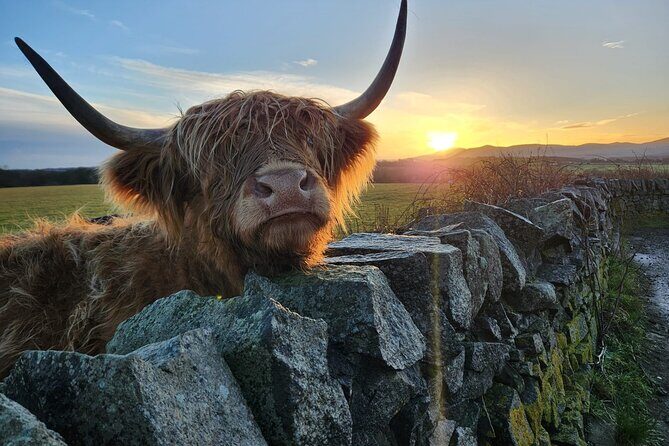 Private Tour of the Scottish Highlands from Edinburgh - Price and what your group of up to 4 is really paying for