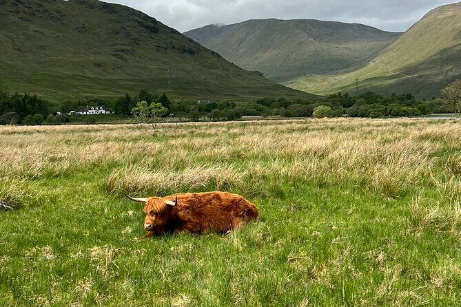 Private Tour to the Stunning Scottish Highlands & Glencoe - Stop 5: Glencoe viewpoints and a pub break