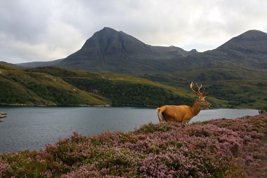Scotland: Orkney and Northern Coast 5-Day Tour - Price and what you’re really paying for