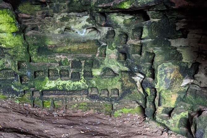 St Andrews, Fife Coast Walk & Historic Abbey Tour from Edinburgh - Price and Logistics: Is $110.49 Worth It?