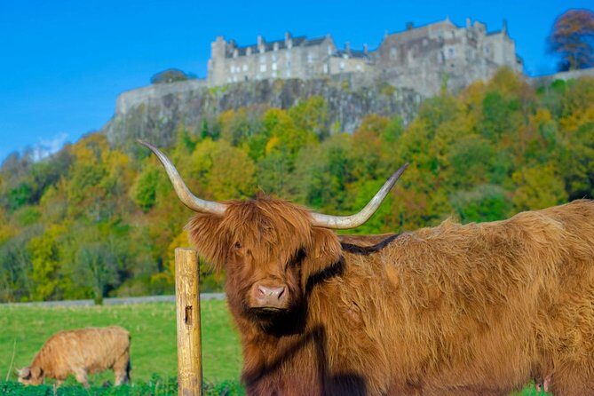 Stirling Castle,Trossachs National and Loch Lomond Day Tour from Edinburgh - From Edinburgh: how the day tour really runs